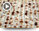 פרשת שמיני | תשעב
